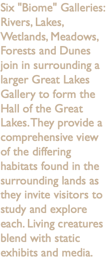 Six "Biome" Galleries: Rivers, Lakes, Wetlands, Meadows, Forests and Dunes join in surrounding a larger Great Lakes Gallery to form the Hall of the Great Lakes. They provide a comprehensive view of the differing habitats found in the surrounding lands as they invite visitors to study and explore each. Living creatures blend with static exhibits and media.