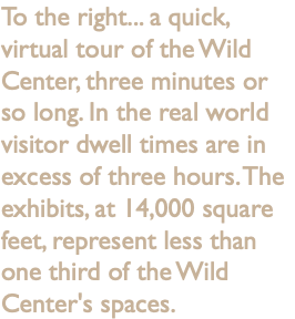 To the right... a quick, virtual tour of the Wild Center, three minutes or so long. In the real world visitor dwell times are in excess of three hours. The exhibits, at 14,000 square feet, represent less than one third of the Wild Center's spaces.